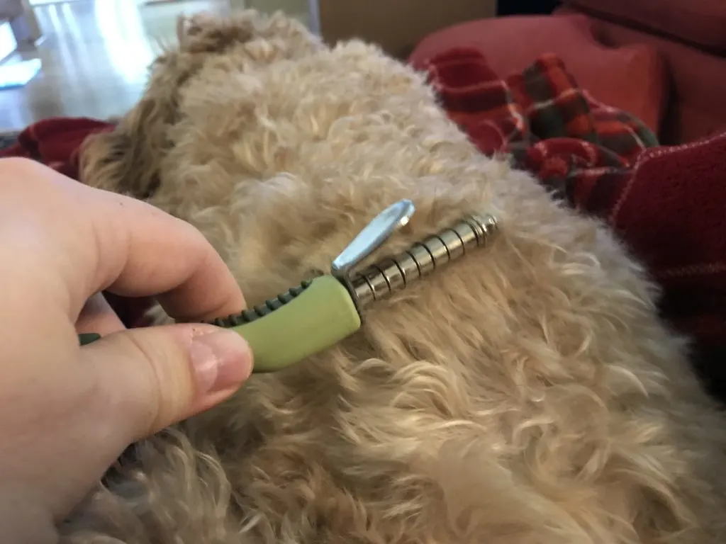 Grooming A Matted Goldendoodle: Essential Tips And Tricks 2 How To Prevent Goldendoodle Matting: 3 Brushes You Must Own