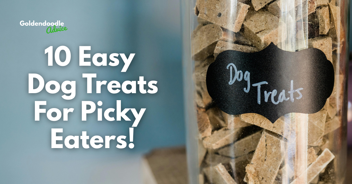 10 Easy Dog Treats So Tasty, Even Picky Dogs Devour Them—Made With Stuff You Already Have 1 Photo Of Easy Dog Treats To Make At Home For A Picky Eater