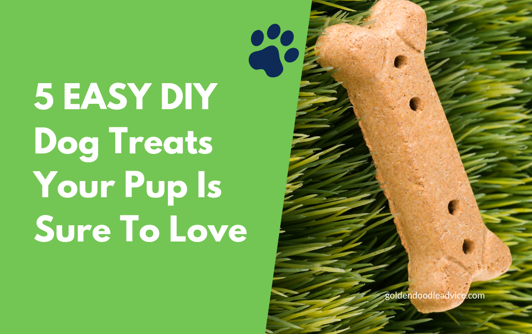 5 Easy Diy Dog Treats