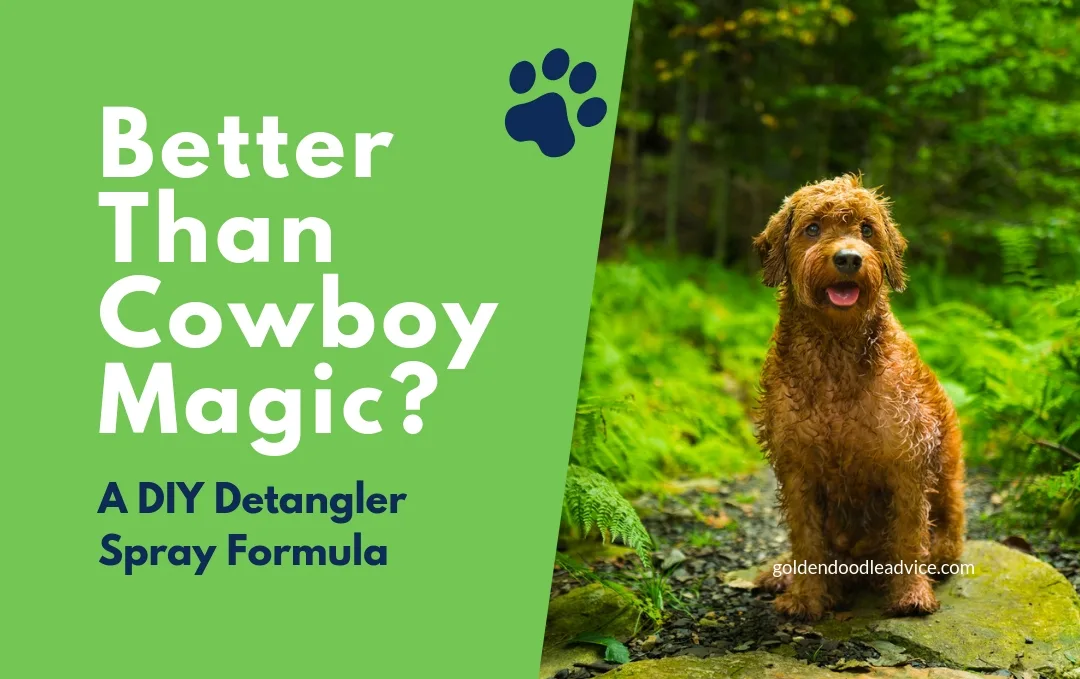 Diy Dog (And Cat) Detangler Spray That Actually Works (Better Than Cowboy Magic?) 2 Better Than Cowboy Magic? This Diy Detangler Spray Is Amazing! Diy Detangler Spray Formula For Dogs Goldendoodles Cowboy Magic