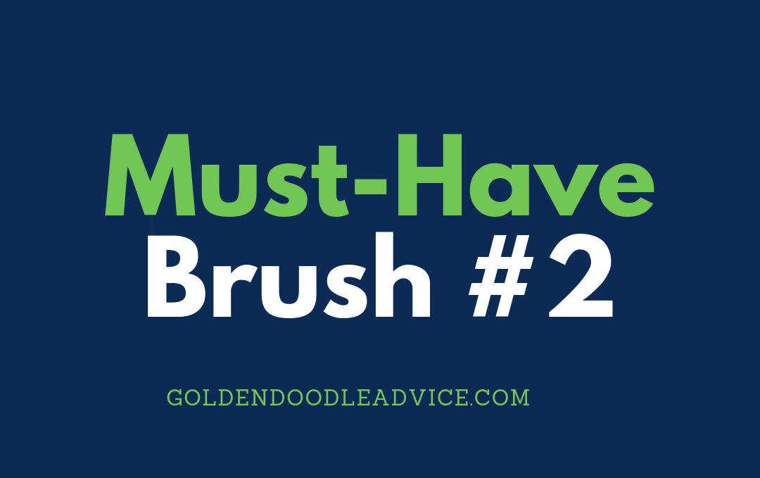 Goldendoodle: Must-Have Brush #2