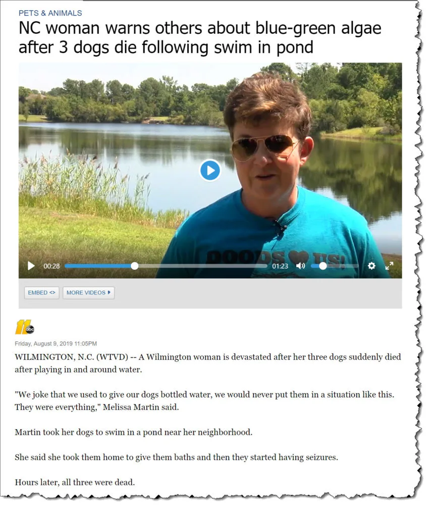 Don’t Take Your Dog Swimming Until You Read This Warning! 1 Don’t Take Your Dog Swimming Until You Read This Warning!