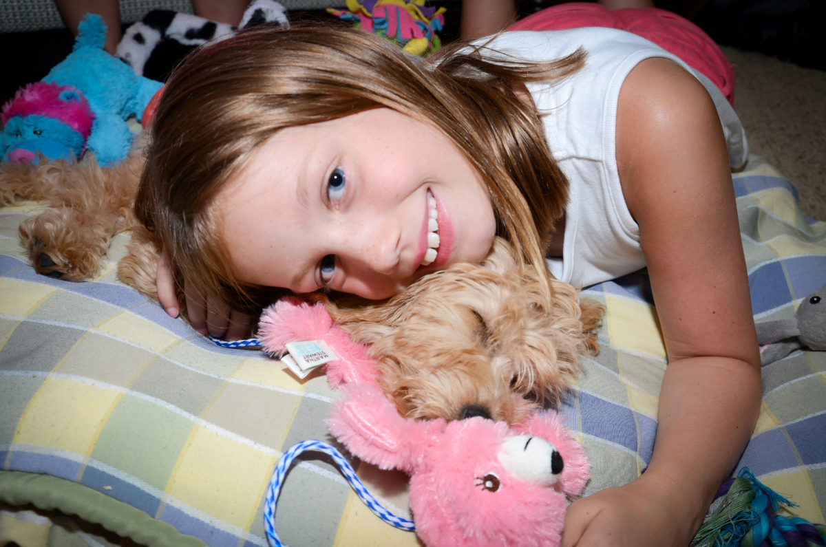Are Goldendoodles Good With Kids? A Guide For Parents #Dogs, #Puppies, #Doodles