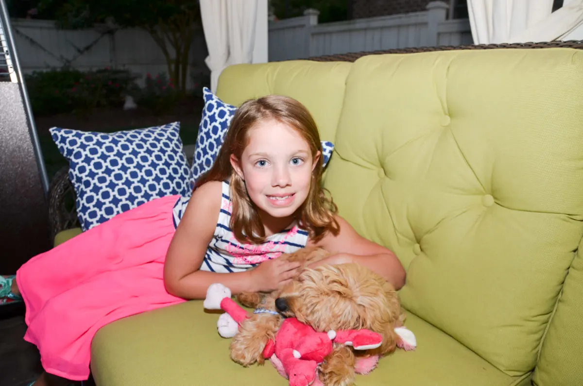 About 7 Are Goldendoodles Good With Kids? A Guide For Parents