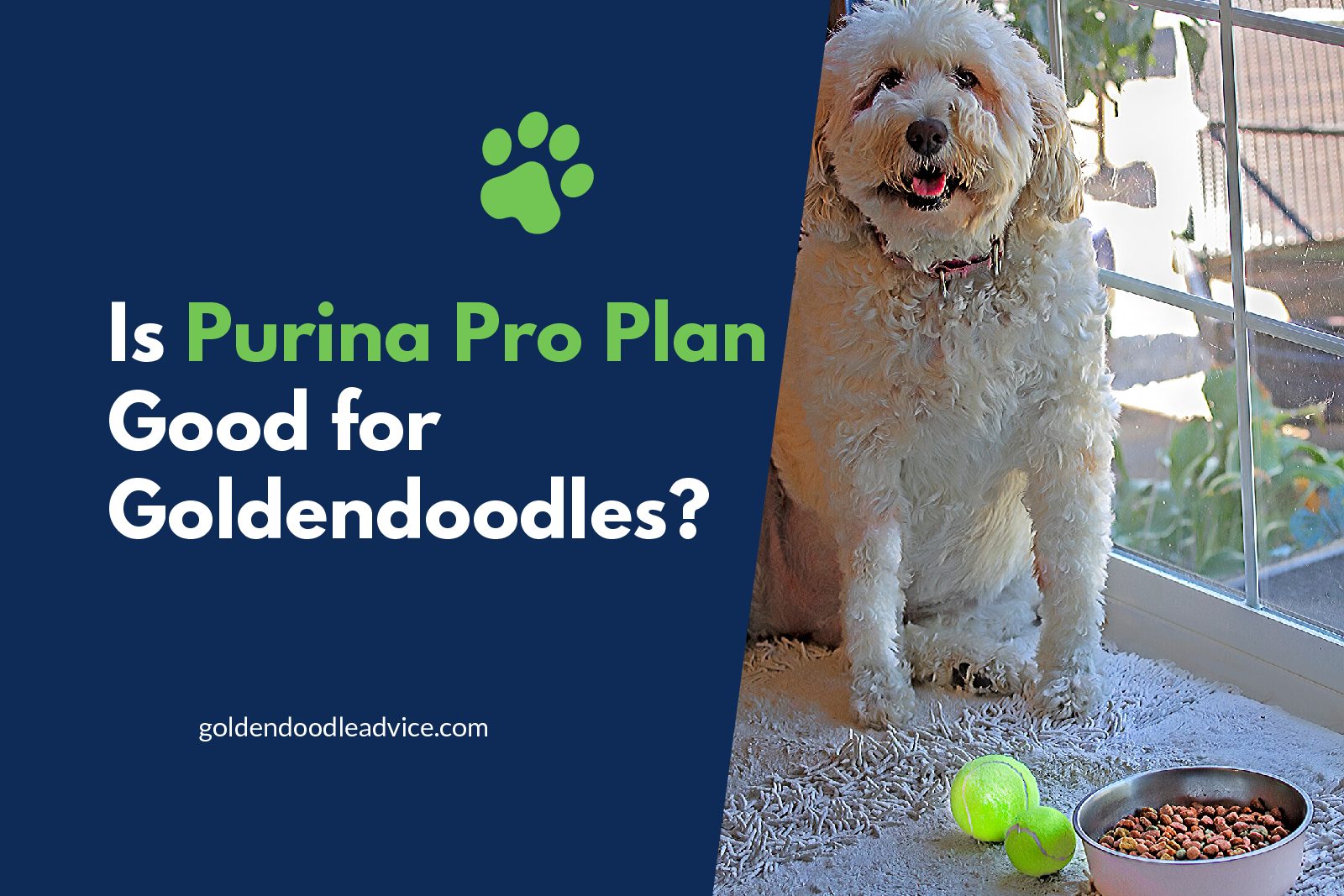Is Purina Pro Plan Good For Goldendoodles?