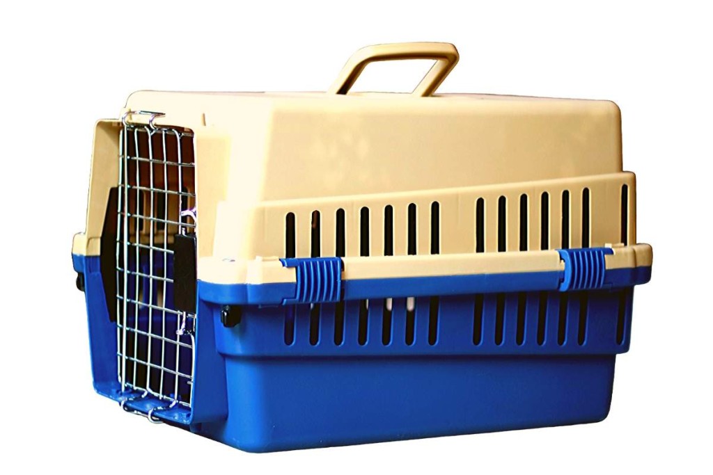What Size Crate Do You Need For A Goldendoodle?