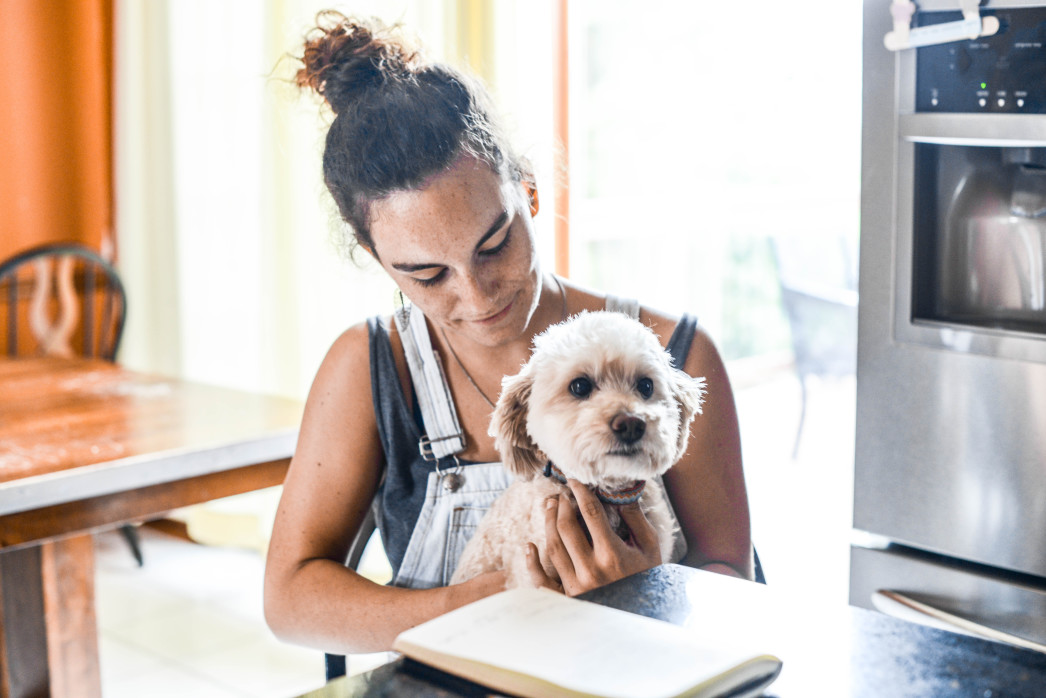 Should You Shave A Goldendoodle? 2