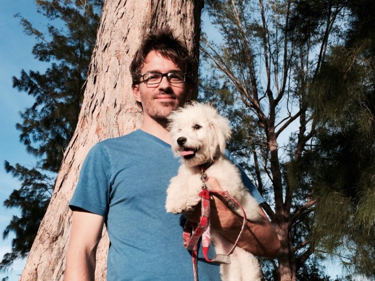 Can You Fly With A Mini Goldendoodle? Goldendoodle Advice