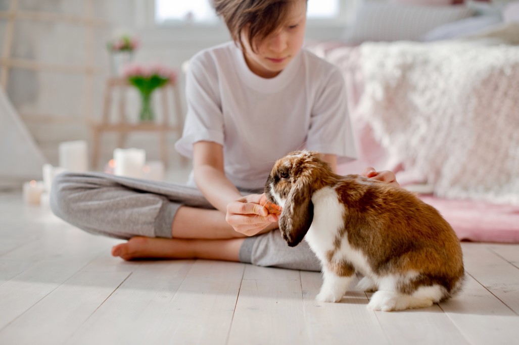 Are Goldendoodles Good With Rabbits?