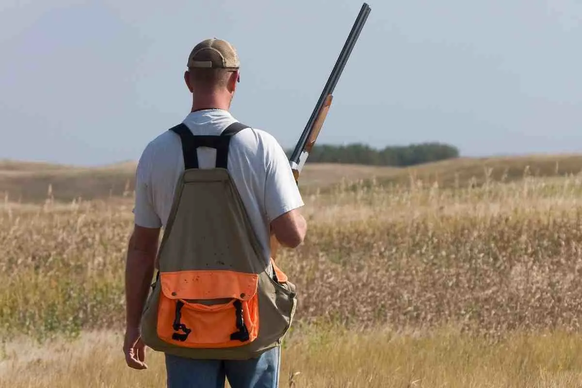 Can A Goldendoodle Be A Hunting Dog?