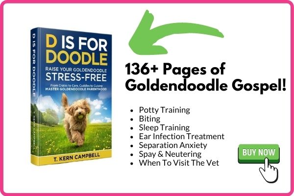 Are Goldendoodles Allergic To Chicken? Can They Eat It? 2