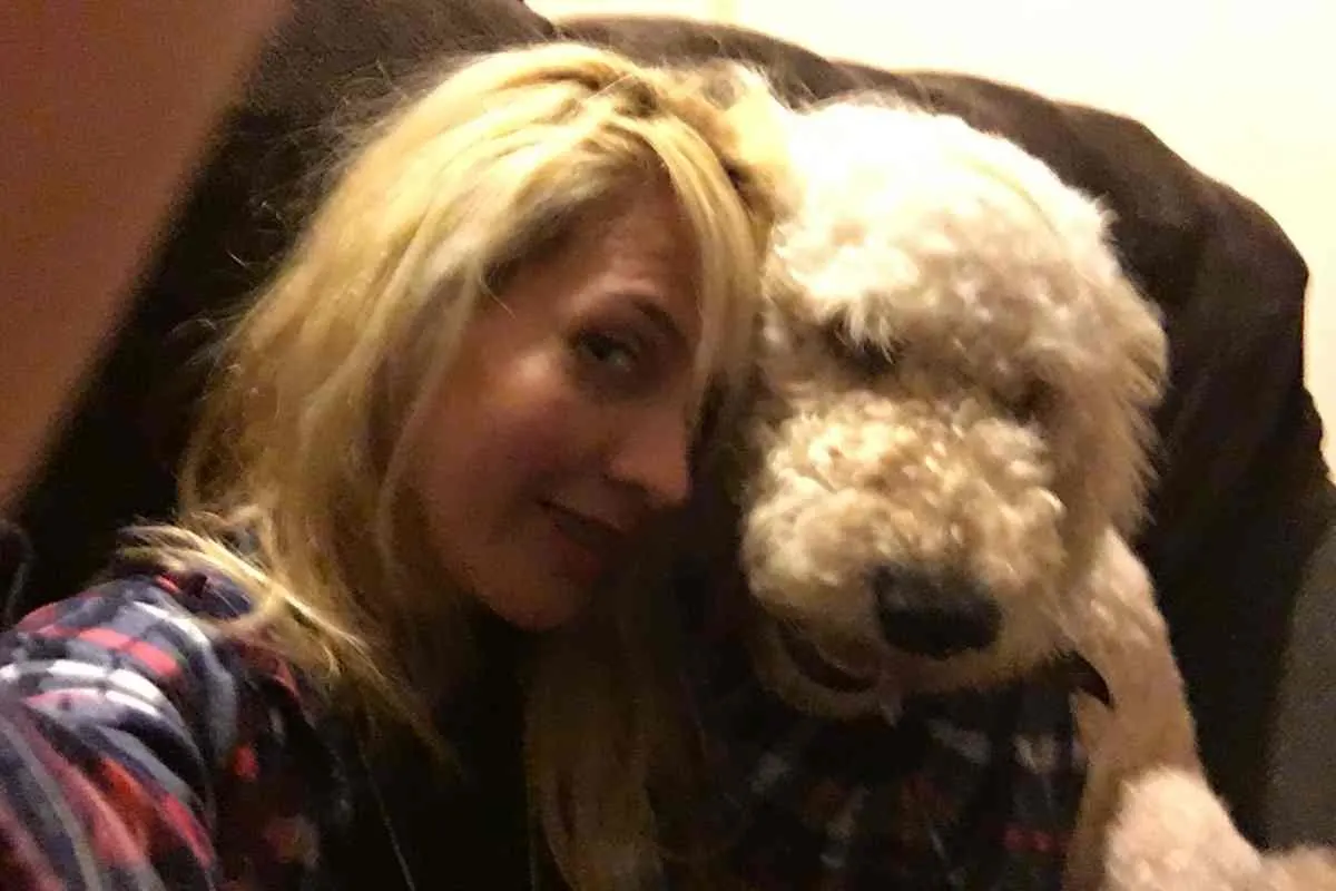 7 Reasons For Goldendoodle Barking 2 7 Reasons Your Goldendoodle Barks At You