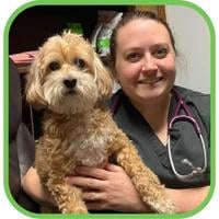 Dr. Sara Redding Ochoa, Dvm | Veterinarian Advisor, Writer