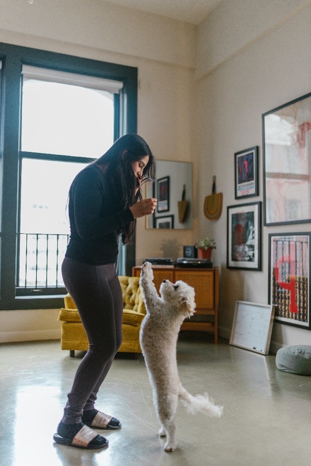 Dog Playing With Owner