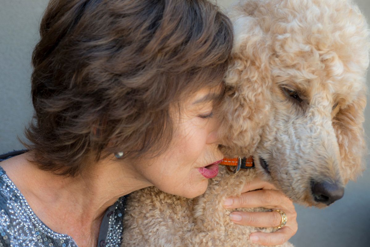 5 Unique Ways That Poodles Show Affection 3