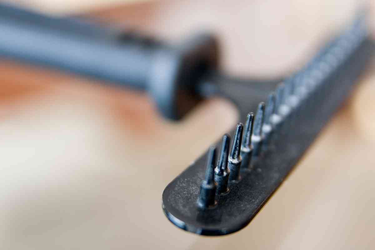 How Often Should You Brush A Goldendoodle Puppy? 4 How Often Should You Brush A Goldendoodle Puppy? 3