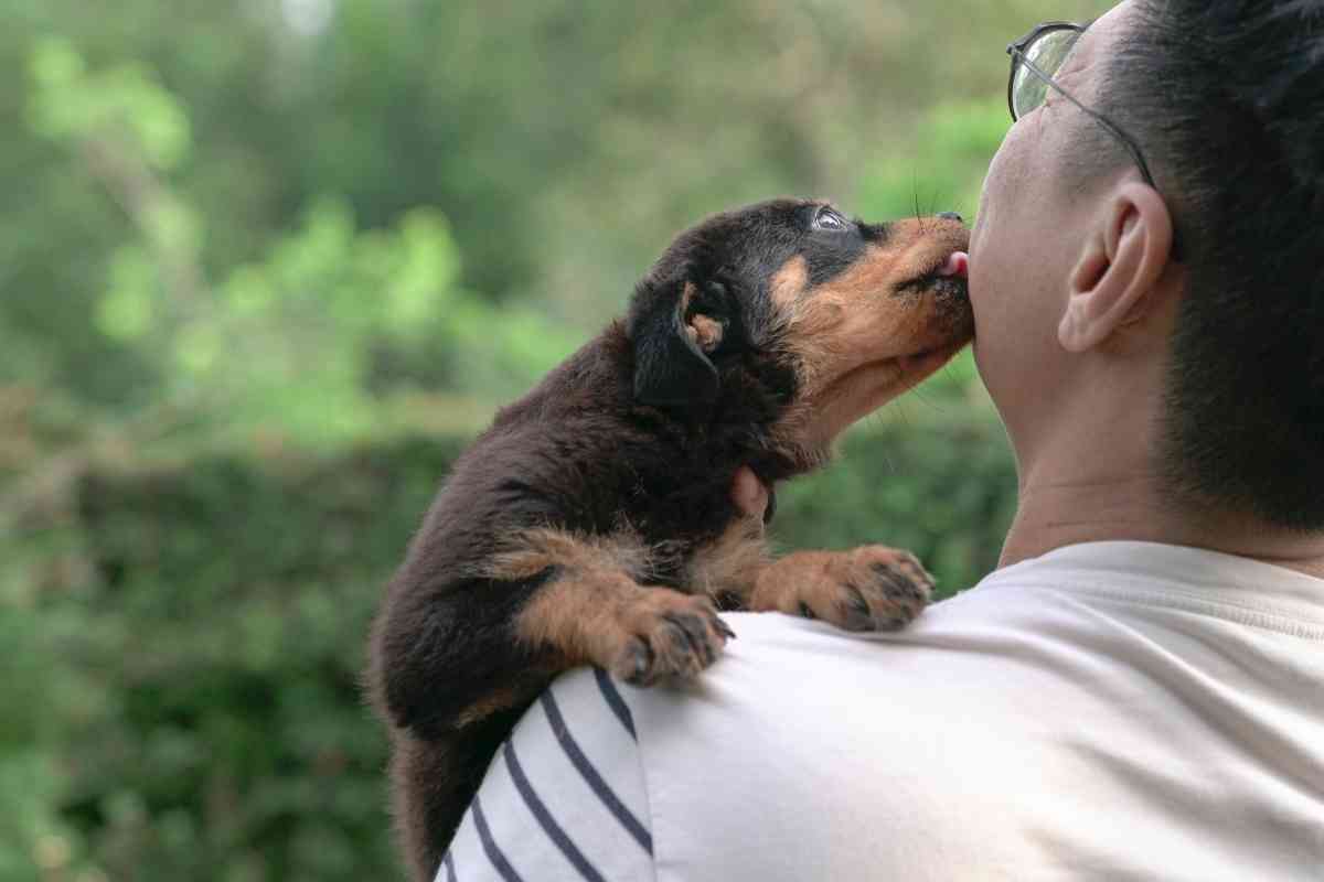 10 Ways To Make Your Puppy Love You Forever 1