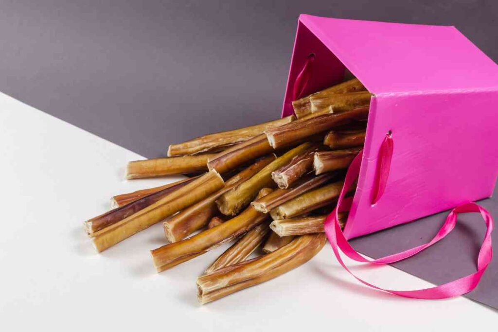 Can Puppies Have Bully Sticks? Why vs Why Not Explained! Goldendoodle