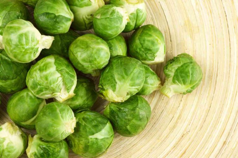 9 Benefits Of Giving Your Puppy Or Adult Dog Brussels Sprouts