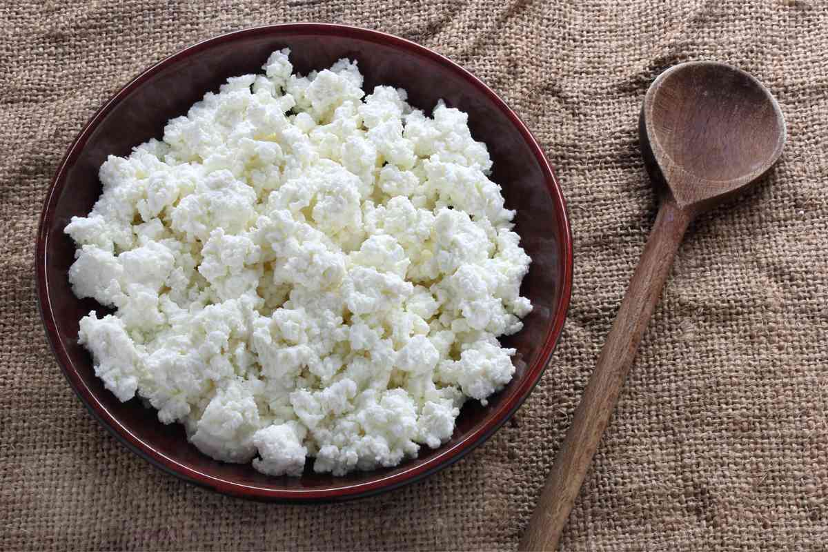 Can Puppies Eat Cottage Cheese? Benefits &Amp;Amp; Potential Risks 1