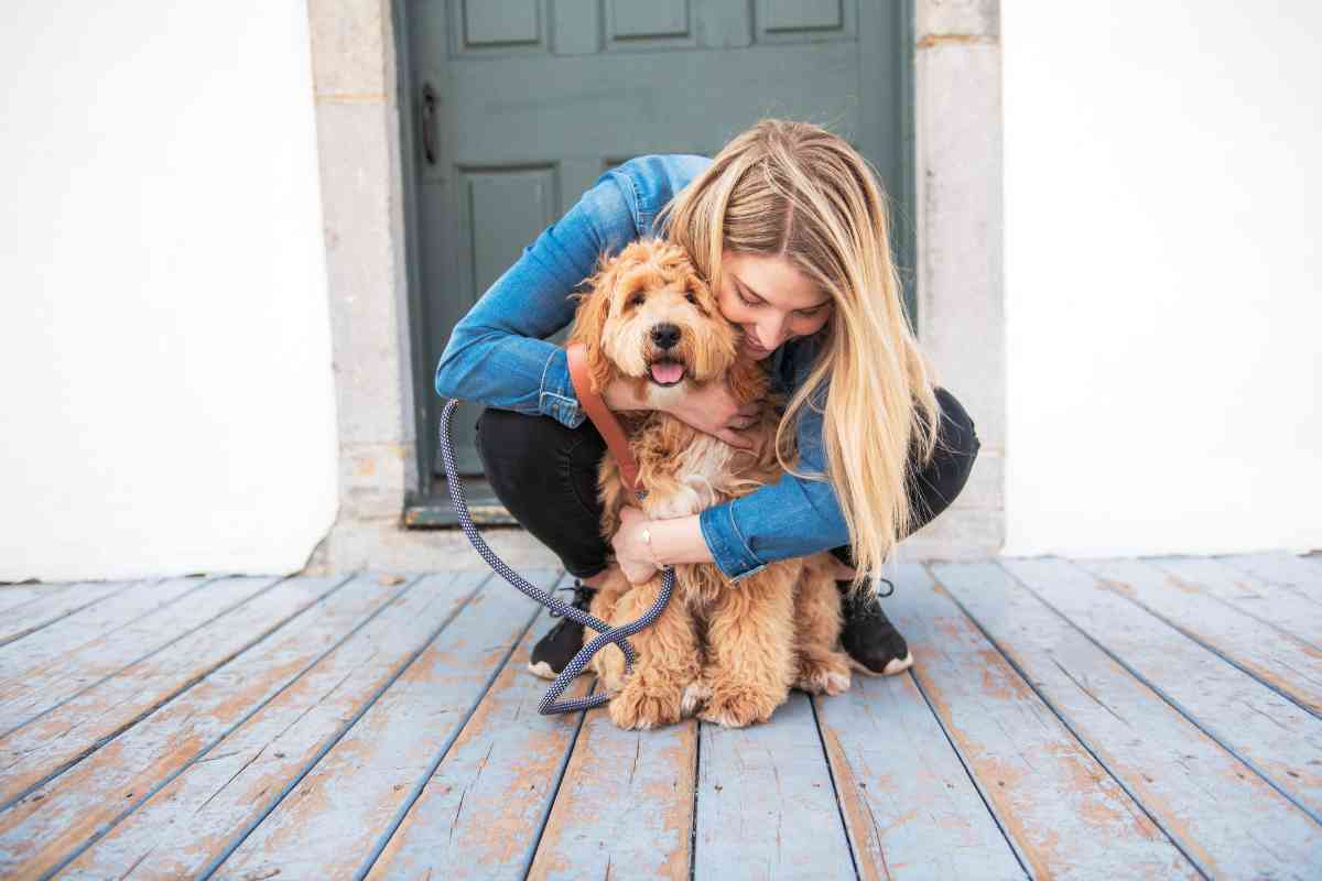 Goldendoodles Vs. Labradoodles: Should You Get One? Yes 4