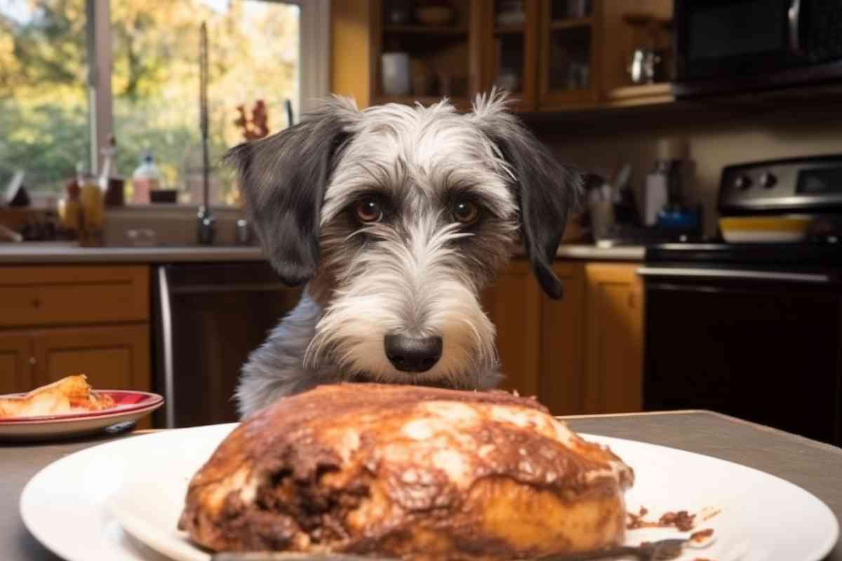 How To Cook Chicken For Puppies: A Guide To Safe And Nutritious Meals 1