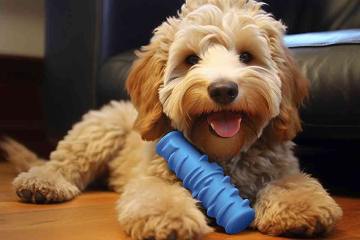 What To Feed Your Goldendoodle Puppy: Expert Recommendations For Optimal Nutrition 3