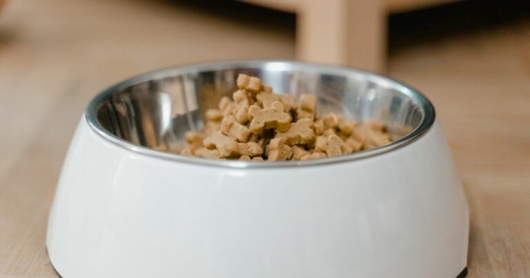 Best Dog Food For Goldendoodles