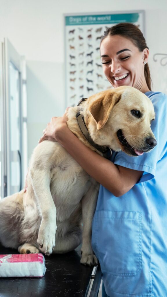 Vet With Lab